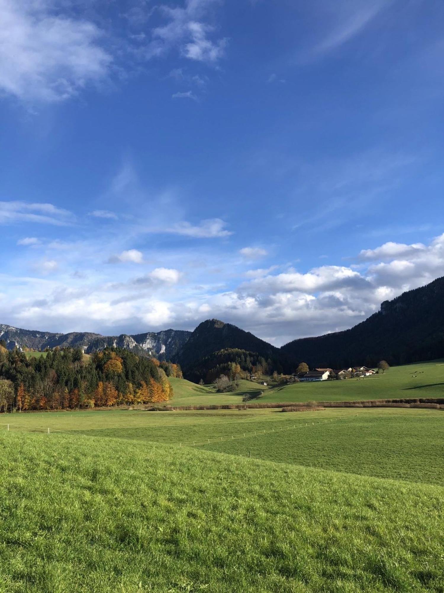 Wiesenbauer - Chiemgau Karte Apartment Inzell